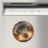 Peeping Yorkie Magnet (Insitu (Vaatwasser))