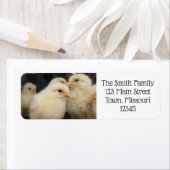 Peeps Etiket (Insitu)