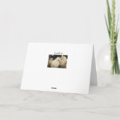 Peeps Kaart (Achterkant)