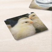 Peeps Kartonnen Onderzetters (Schuin)