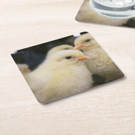 Peeps Kartonnen Onderzetters (Schuin)