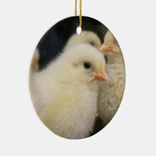 Peeps Keramisch Ornament (Rechts)