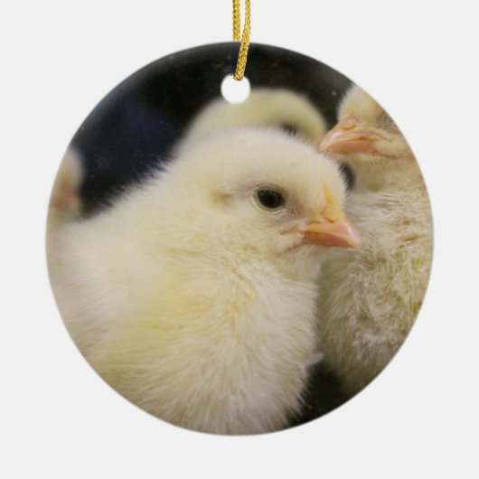 Peeps Keramisch Ornament (Voorkant)