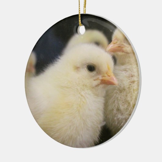 Peeps Keramisch Ornament (Links)