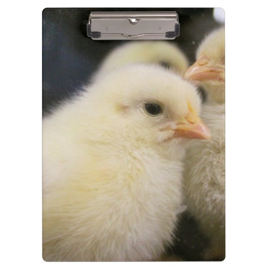Peeps Klembord (Voorkant)