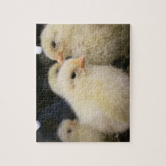 Peeps Legpuzzel (Verticaal)