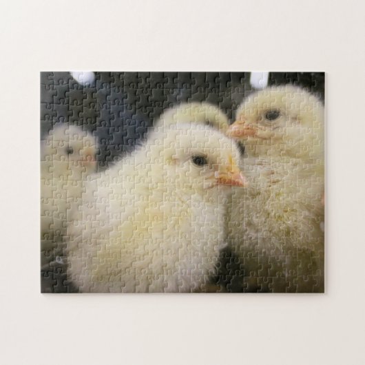Peeps Legpuzzel (Horizontaal)