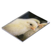 Peeps Notitieboek (Linkerzijde)