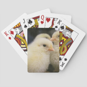 Peeps Pokerkaarten