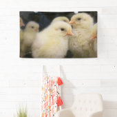 Peeps Spandoek (Insitu)