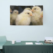 Peeps Spandoek (Beurs)