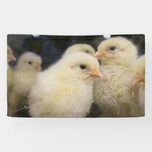Peeps Spandoek (Horizontaal)