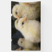 Peeps Spandoek (Verticaal)