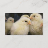 Peeps Visitekaartje (Achterkant)