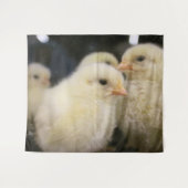 Peeps Wandkleed (Voorkant (horizontaal))