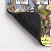 Peer Blossom Family Tree Quote en Photos Muismat (Hoek)