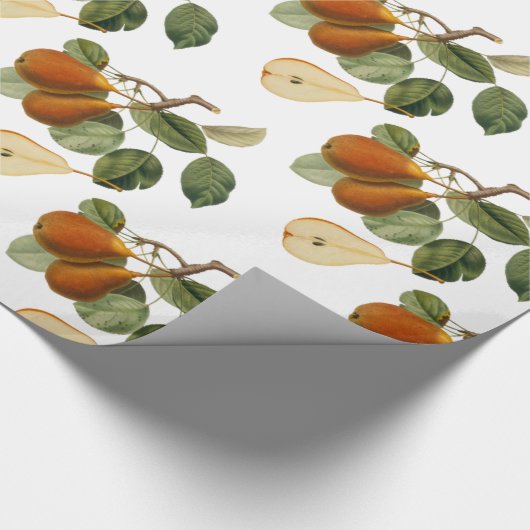 peer botanische illustratie cadeaupapier (Hoek)