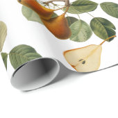  peer botanische illustratie cadeaupapier (Rol Hoek)