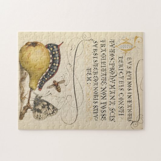 Peer en admiraal legpuzzel (Horizontaal)