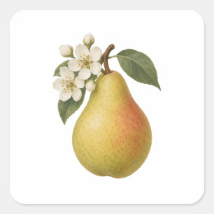 Peer en Witte Bloesems Vierkante Sticker