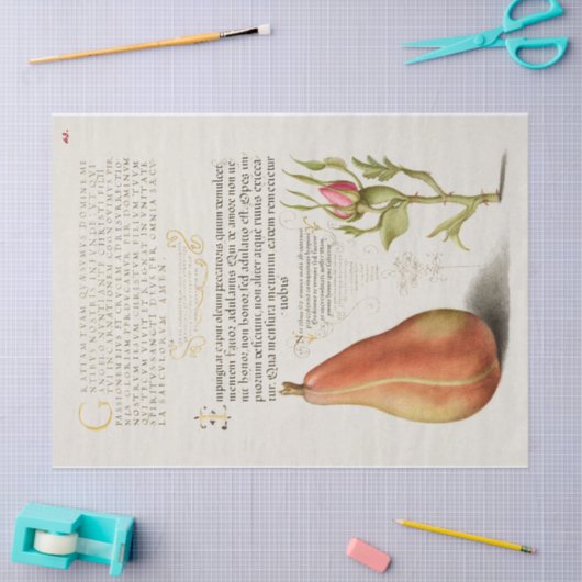 Peer Frans Roos Kalligrafie Tissuepapier (Craft)