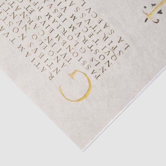 Peer Frans Roos Kalligrafie Tissuepapier (Detail)