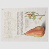 Peer Frans Roos Kalligrafie Tissuepapier (Voorkant)