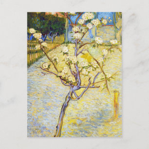 Peerboom in Blossom Vincent van Gogh fijne kunst Briefkaart