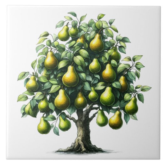 Peerboom Tegeltje (Voorkant)