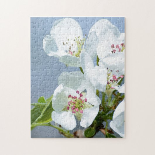 Peerboombloei Legpuzzel (Verticaal)