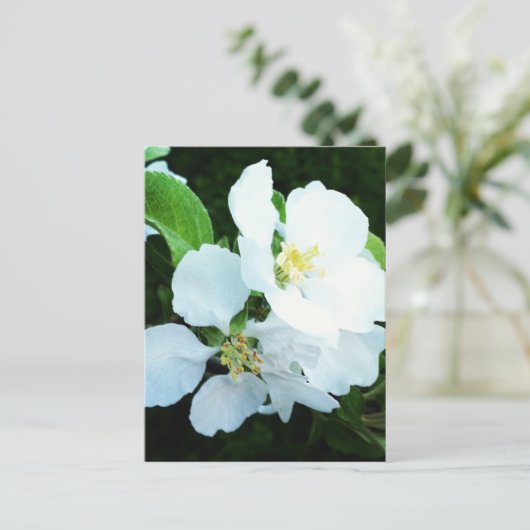 Peerboombloem Briefkaart (Staand voorkant)