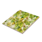 Peerboomvertakkingen & perspatroon  tegeltje (Zijkant)