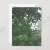 Peering Through the Rain 1 - Abstracte foto Briefkaart (Voorkant / Achterkant)