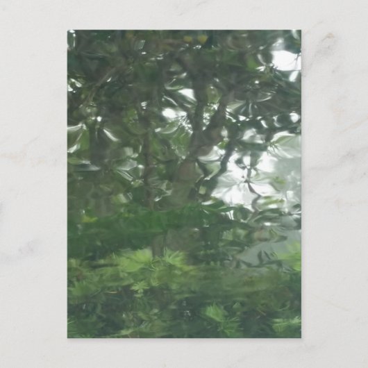 Peering Through the Rain 1 - Abstracte foto Briefkaart (Voorkant)