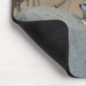 Peerkat Meerkat Muismat (Hoek)