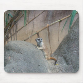 Peerkat Meerkat Muismat