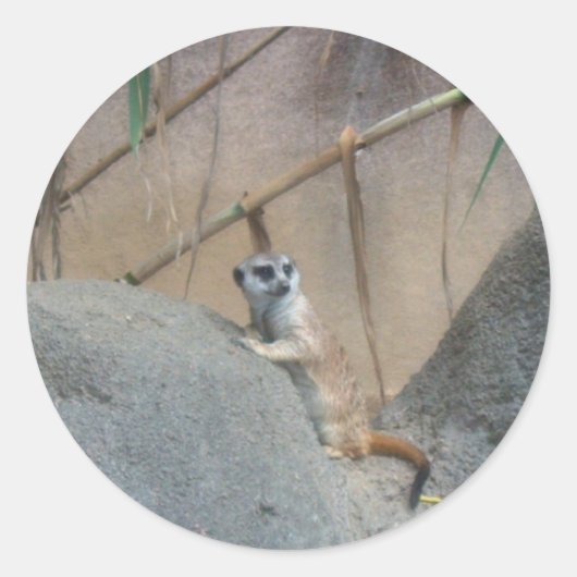 Peerkat Meerkat Ronde Sticker (Voorkant)