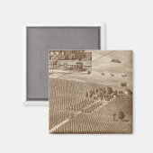 Peerless Vineyard, Hanford, Cal Magneet (Voorkant / Achterkant)