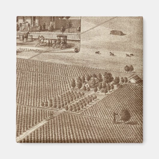 Peerless Vineyard, Hanford, Cal Magneet (Voorkant)