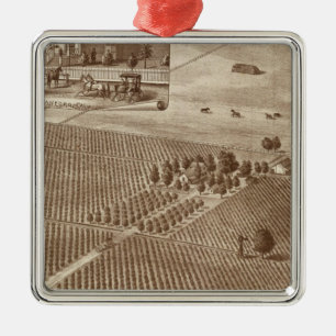 Peerless Vineyard, Hanford, Cal Metalen Ornament