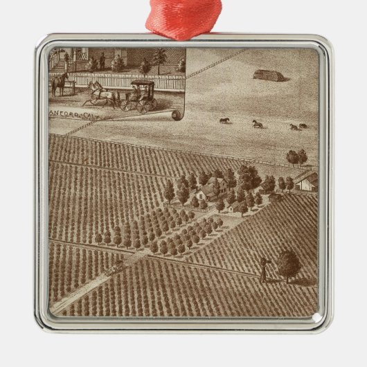 Peerless Vineyard, Hanford, Cal Metalen Ornament (Voorkant)