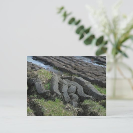 Peetschroot Briefkaart (Staand voorkant)