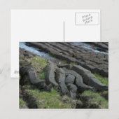 Peetschroot Briefkaart (Voorkant / Achterkant)