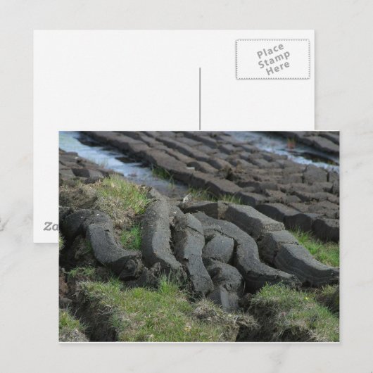 Peetschroot Briefkaart (Voorkant / Achterkant)