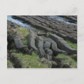 Peetschroot Briefkaart (Voorkant)