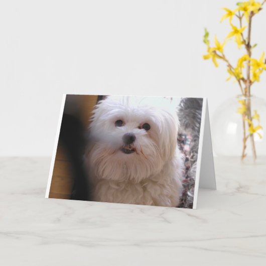 PEEWEE KAART (Gele Bloem)