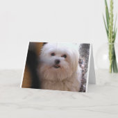 PEEWEE KAART (Voorkant)