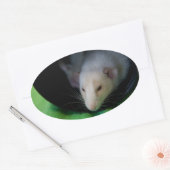 PEEWEE OVALE STICKER (Envelop)