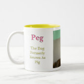 Peg aka Pig Tweekleurige Koffiemok (Links)
