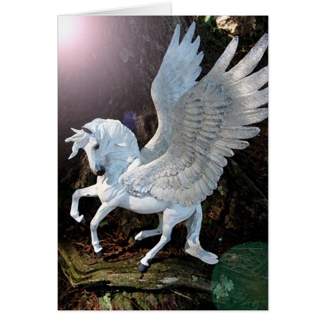 Pegasus (Voorkant)